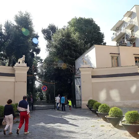Brothers Vomero Bed & Breakfast